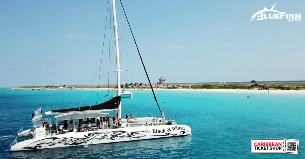 BlueFinn Black & White Catamaran