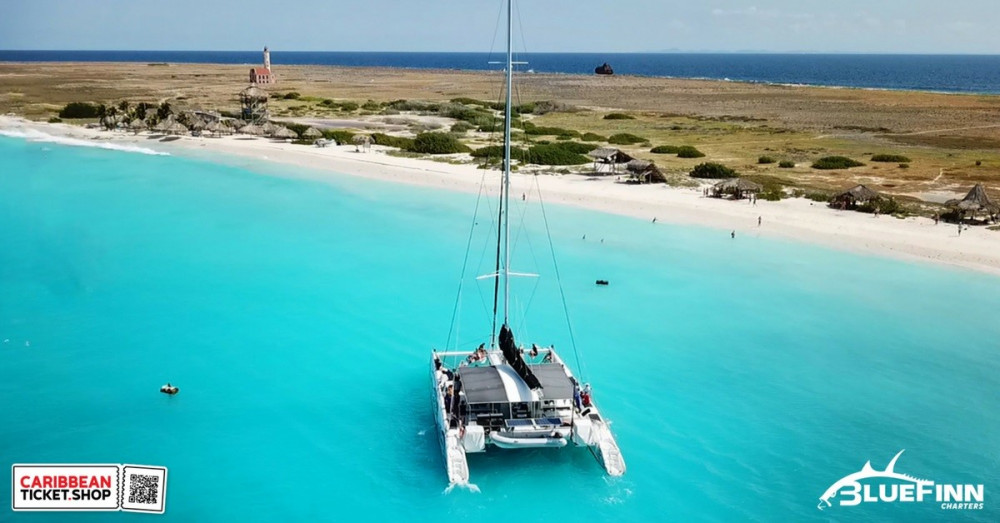 BlueFinn Black & White Catamaran