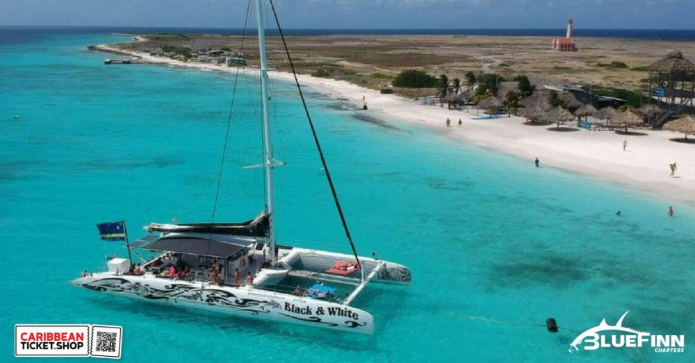 BlueFinn Black & White Catamaran