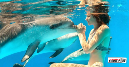 Dolphin Snorkel